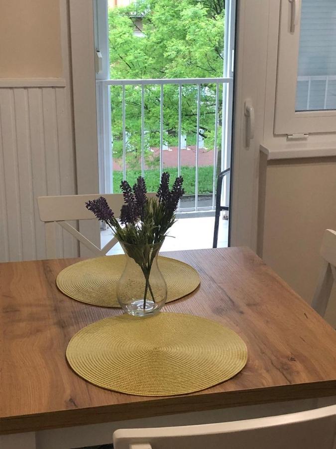 Kelemen Apartman נג'קניז'ה מראה חיצוני תמונה